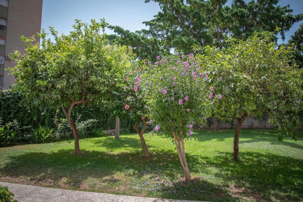 Piso Con Jardin Малага